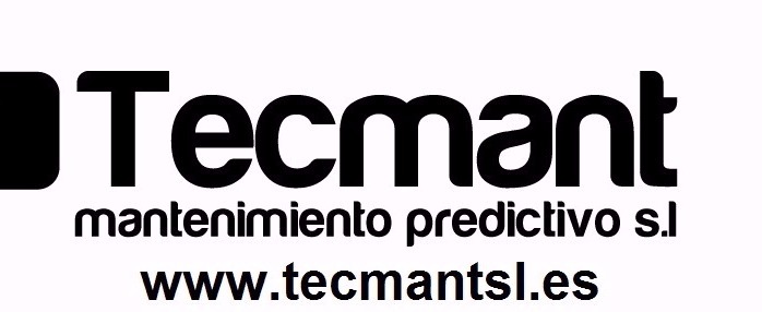 TECMANT S.L.